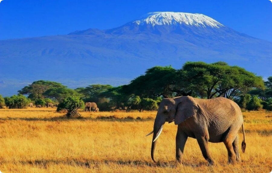 Ervaar een avontuurlijke reis in Kenia.