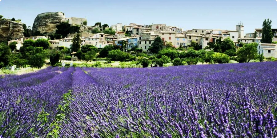 Zapachy i wrażliwość: Twój najlepszy plan podróży po Grasse