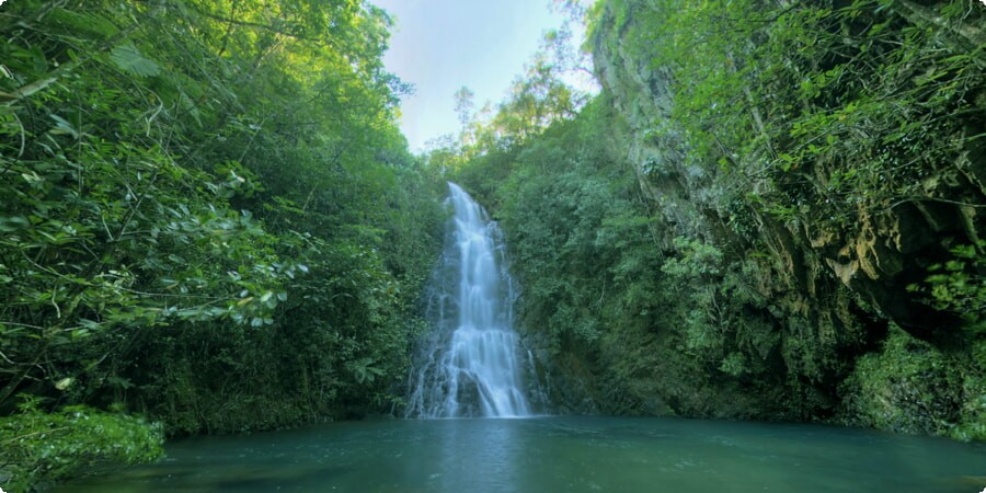 Top 5 Wildlife Encounters in Belize