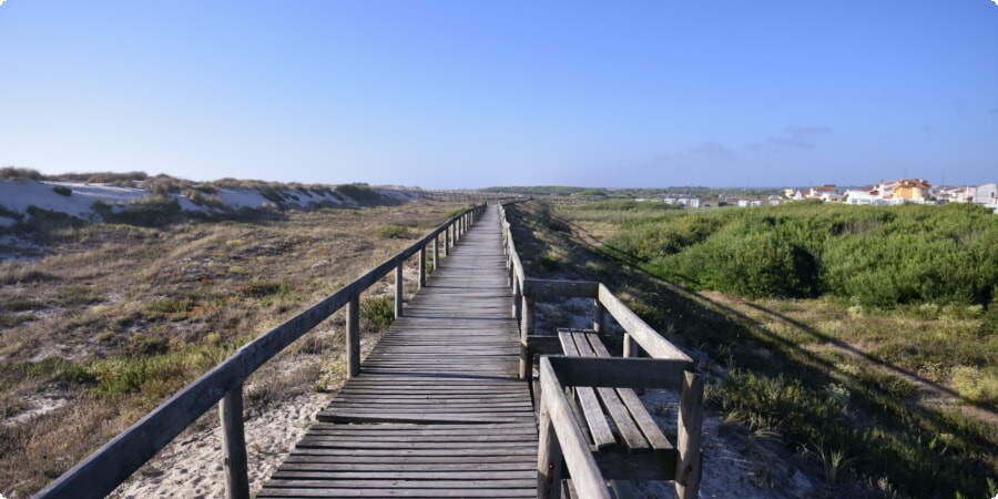 A Day in Aveiro