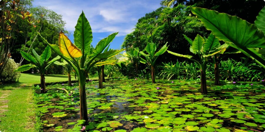 The Most Peaceful Retreats in Seychelles