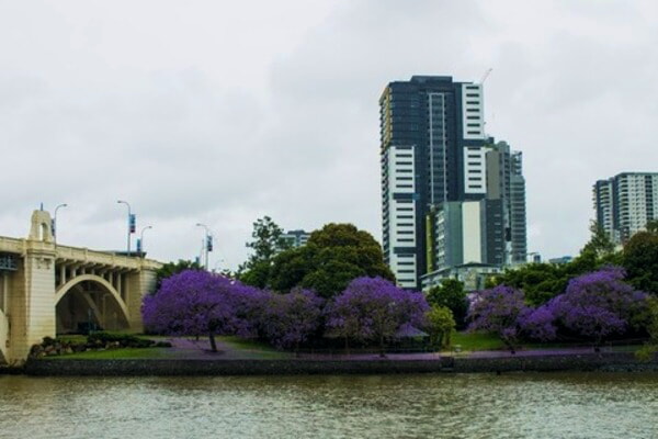  Brisbane