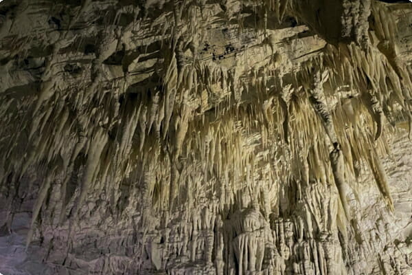 와이토모 동굴